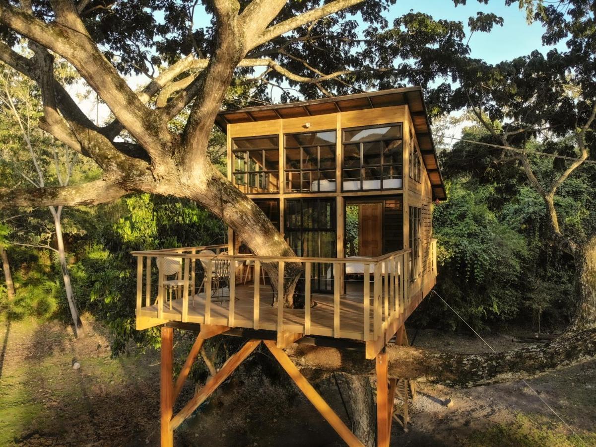 Casa En El Arbol Utica Exterior foto